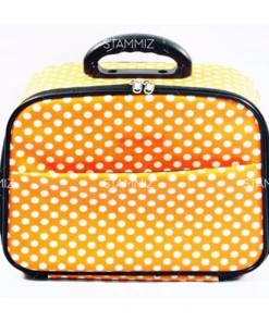 กระเป๋ามีโครง1